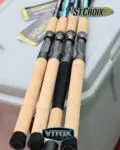 vitoxpremium_1713816266_3352056253636867113_52427581817
